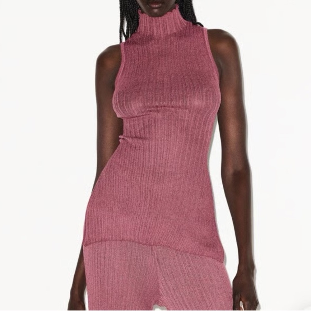NWT! Skims Sheer Knit Mock Neck Tunic